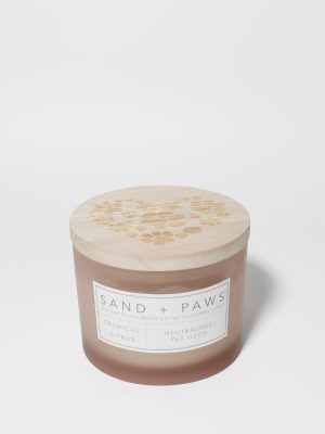 Sand + Paws Tropical Citrus 12 oz scented candle