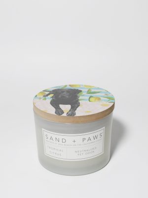 Sand + Paws Tropical Citrus 12 oz scented candle