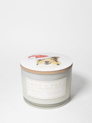 Sand + Paws Simmering Spices 12 oz scented candle